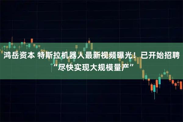 鸿岳资本 特斯拉机器人最新视频曝光！已开始招聘 “尽快实现大规模量产”