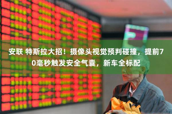 安联 特斯拉大招！摄像头视觉预判碰撞，提前70毫秒触发安全气囊，新车全标配