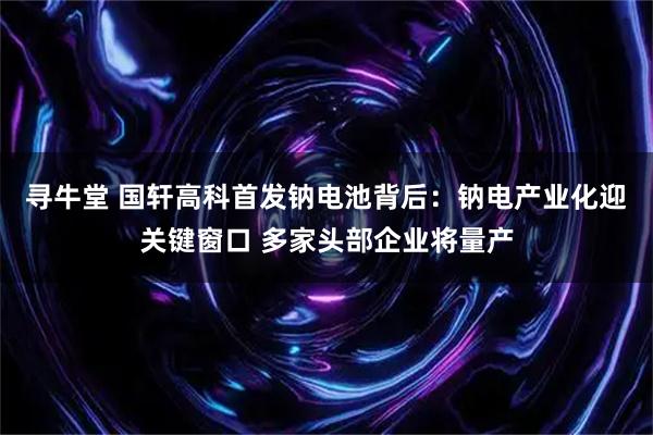 寻牛堂 国轩高科首发钠电池背后：钠电产业化迎关键窗口 多家头部企业将量产