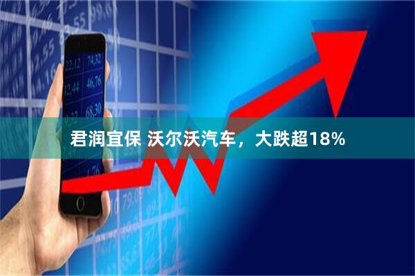 君润宜保 沃尔沃汽车，大跌超18%